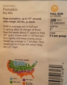 Big Max Pumpkin seed packet